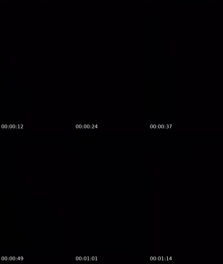 Contact-sheet preview of Babysavsge's Liveme recording