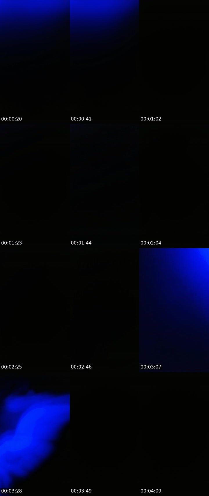 Contact-sheet preview of Lora_col's Liveme recording