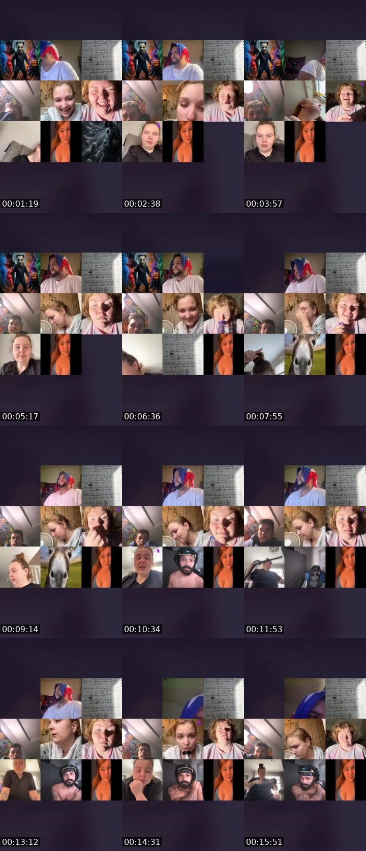 Contact-sheet preview of SpicyNuggyFafo𖠞₄₂₀'s Liveme recording