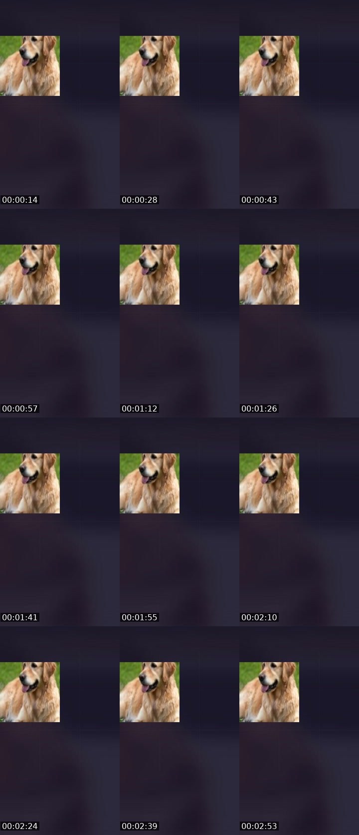 Contact-sheet preview of demon 😈's Liveme recording