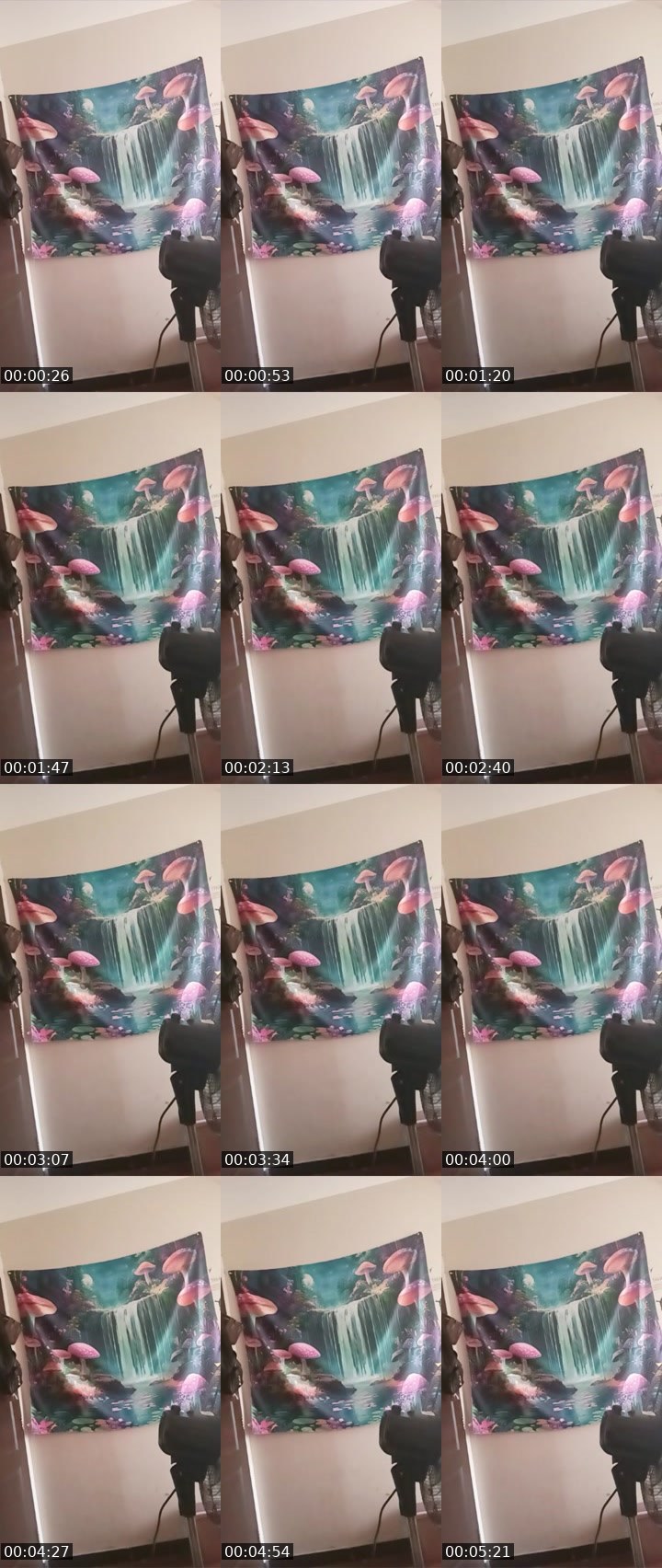 Contact-sheet preview of 👏COCO💞's Liveme recording