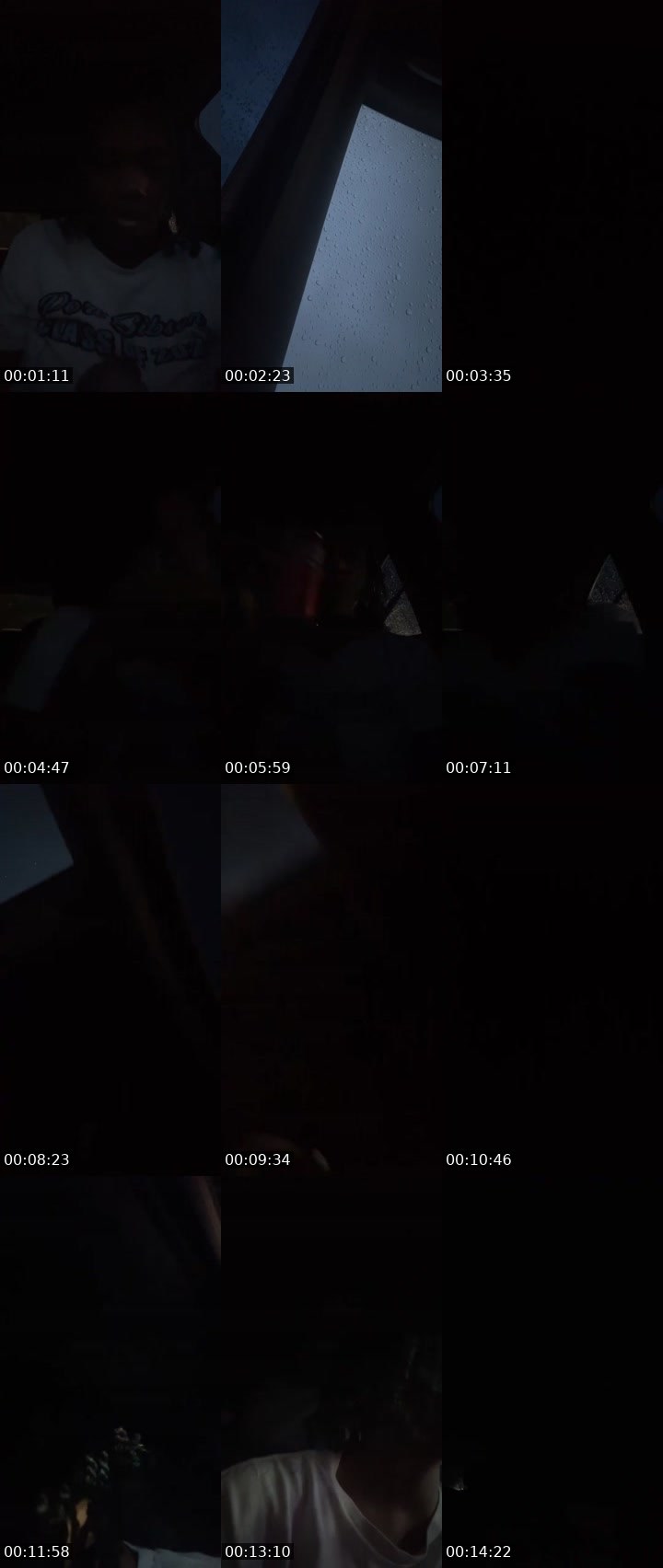 Contact-sheet preview of StayNYoFinaoLane🏁's Liveme recording