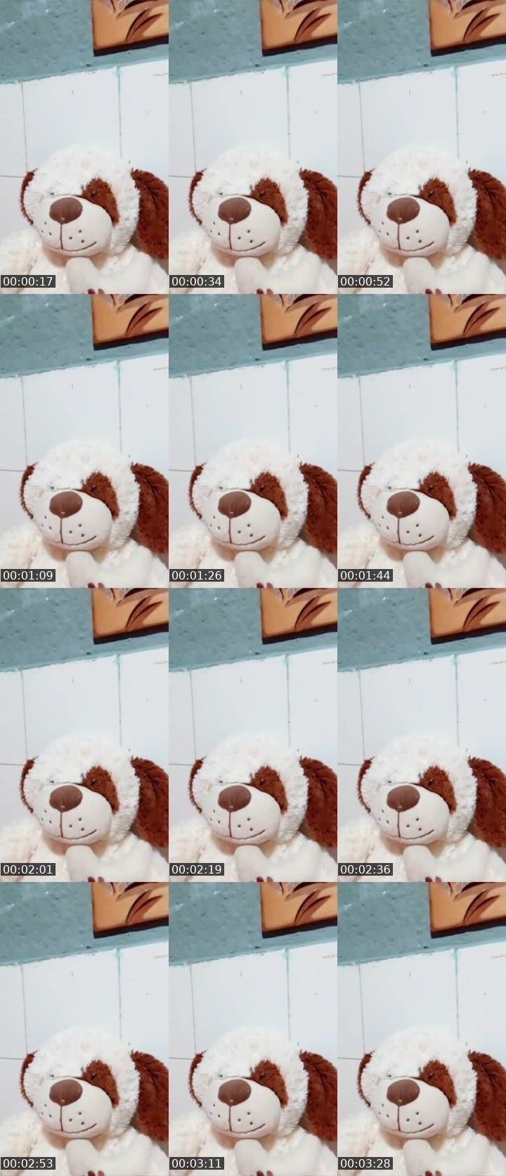 Contact-sheet preview of 🌖⋆Danna 🕶️👸🏼's Liveme recording