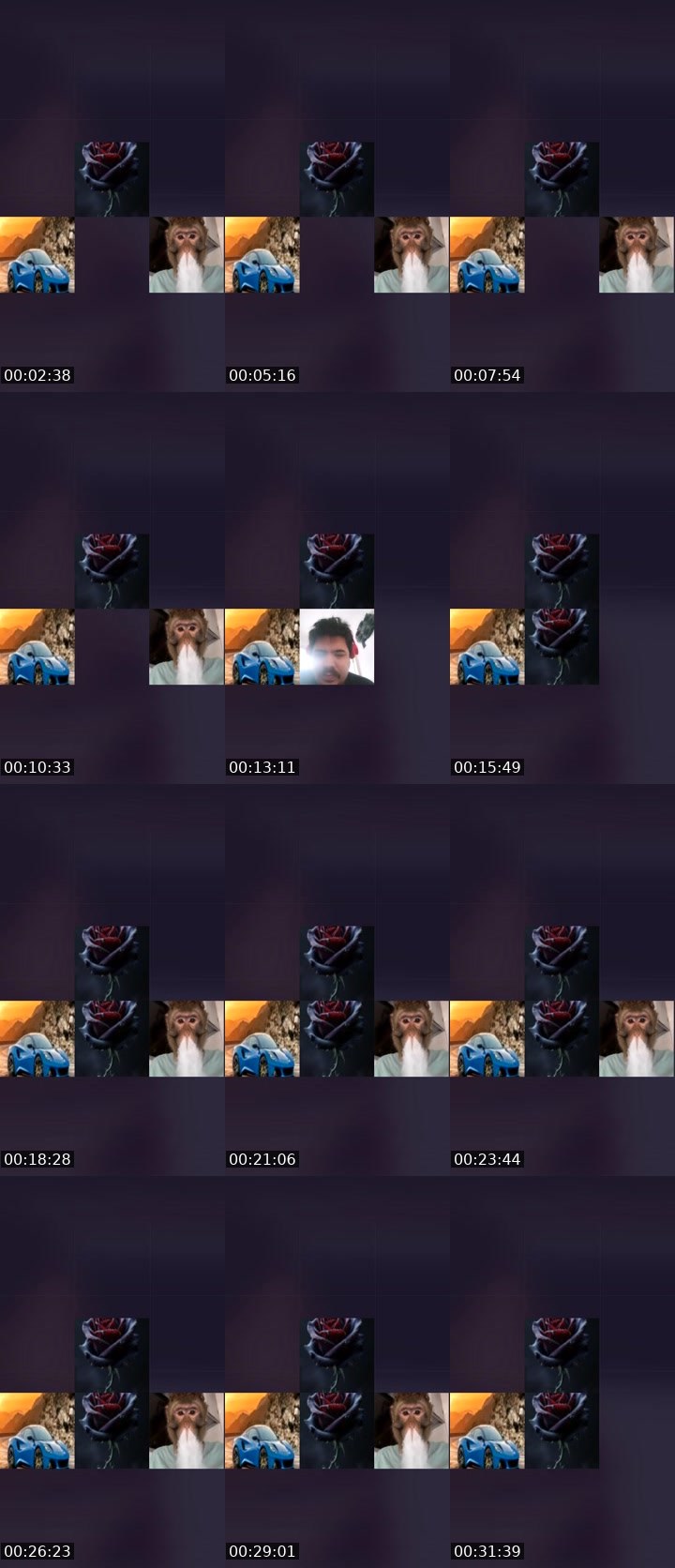 Contact-sheet preview of CrazySpiderMonkey420's Liveme recording