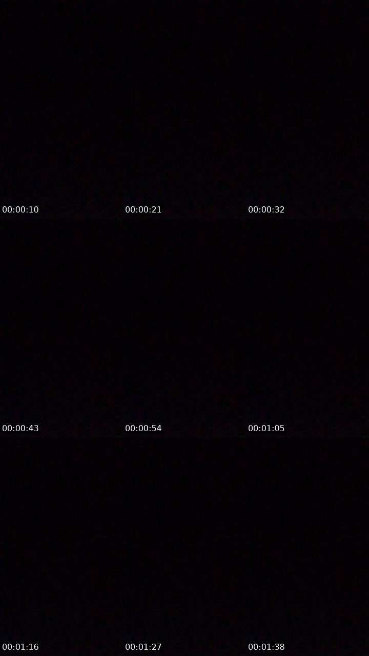 Contact-sheet preview of Olivera's Liveme recording