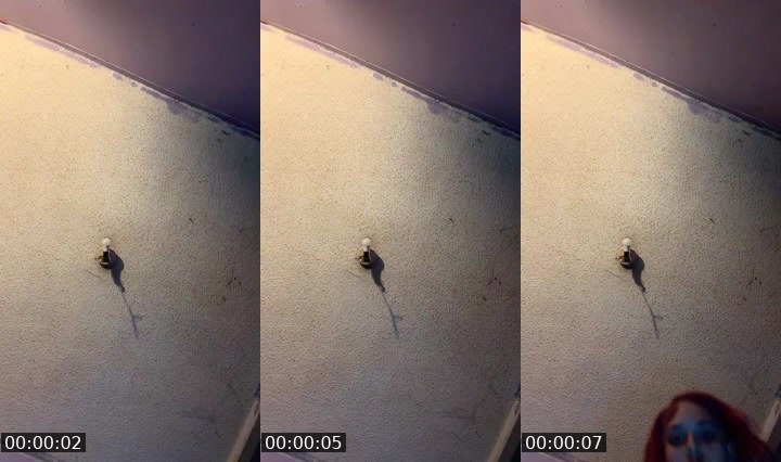 Cover for Click for fun!