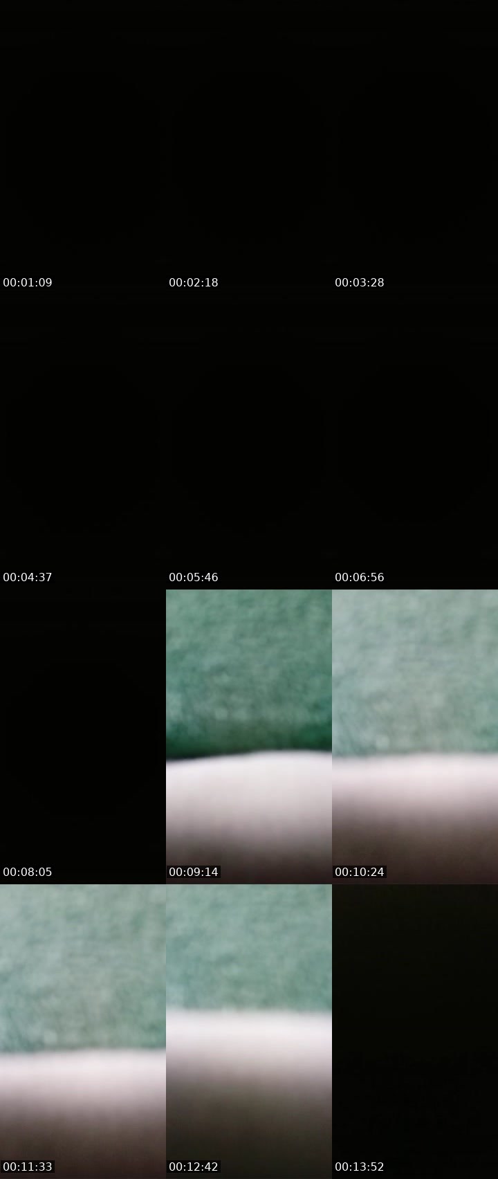 Contact-sheet preview of Lora_col's Liveme recording
