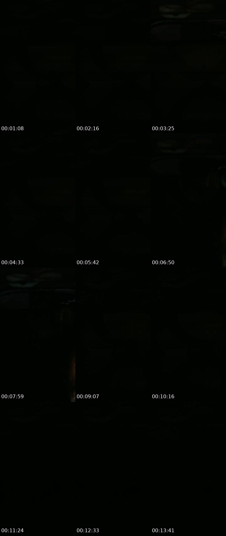 Contact-sheet preview of ★ℜiyaͥήsͣhi💃's Liveme recording