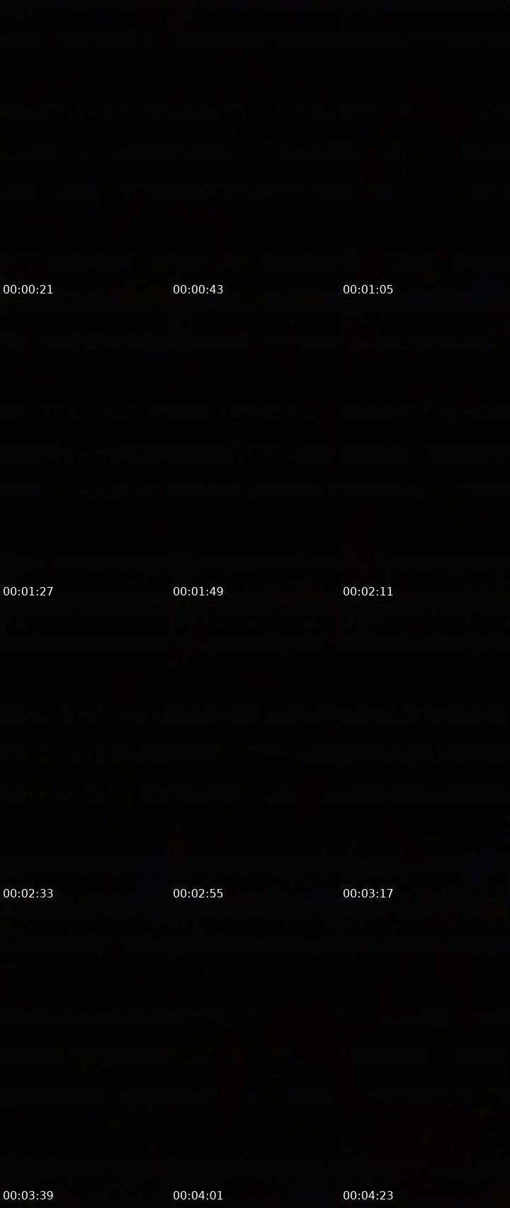 Contact-sheet preview of Katia256's Liveme recording