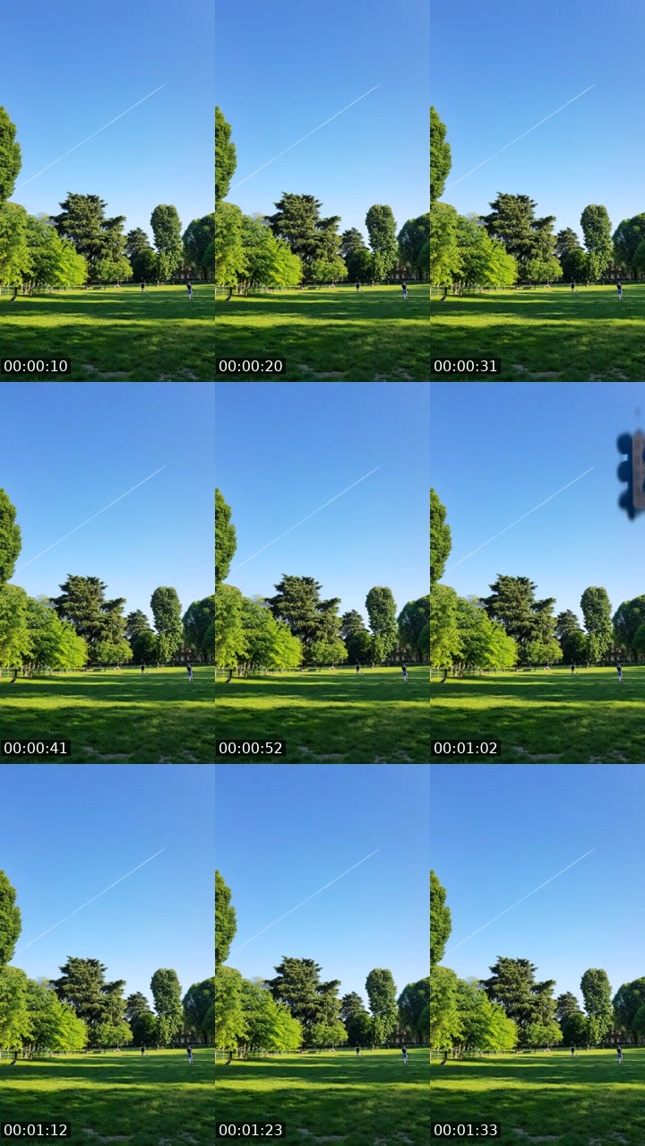 Contact-sheet preview of ⁱᵐ£Xqui$iTe🧜🏽‍♀️ఌ's Liveme recording