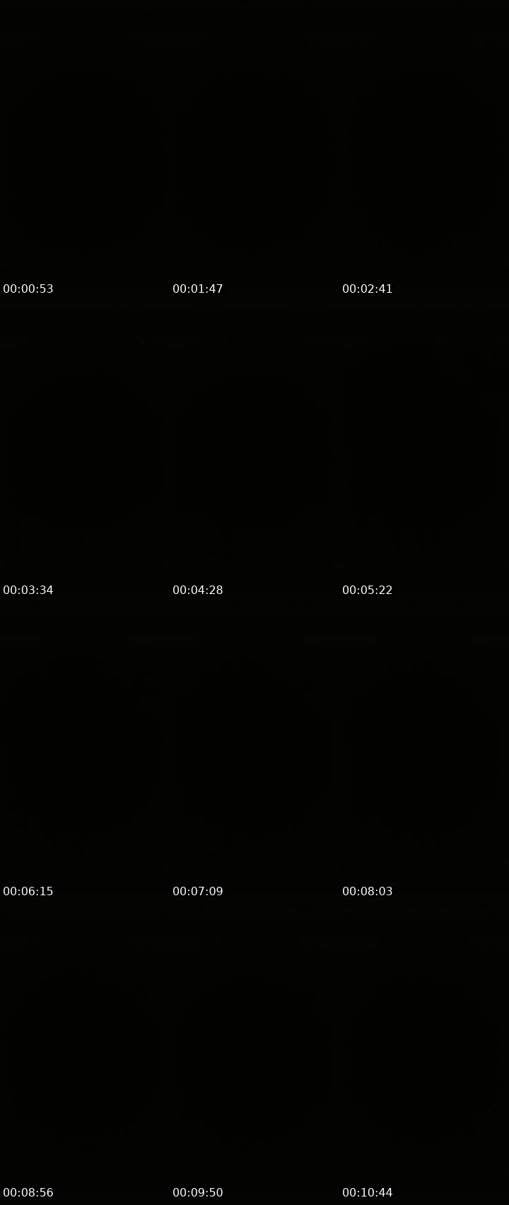 Contact-sheet preview of Lora_col's Liveme recording
