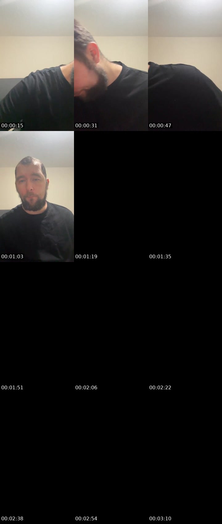 Contact-sheet preview of A noodle doodle's Liveme recording