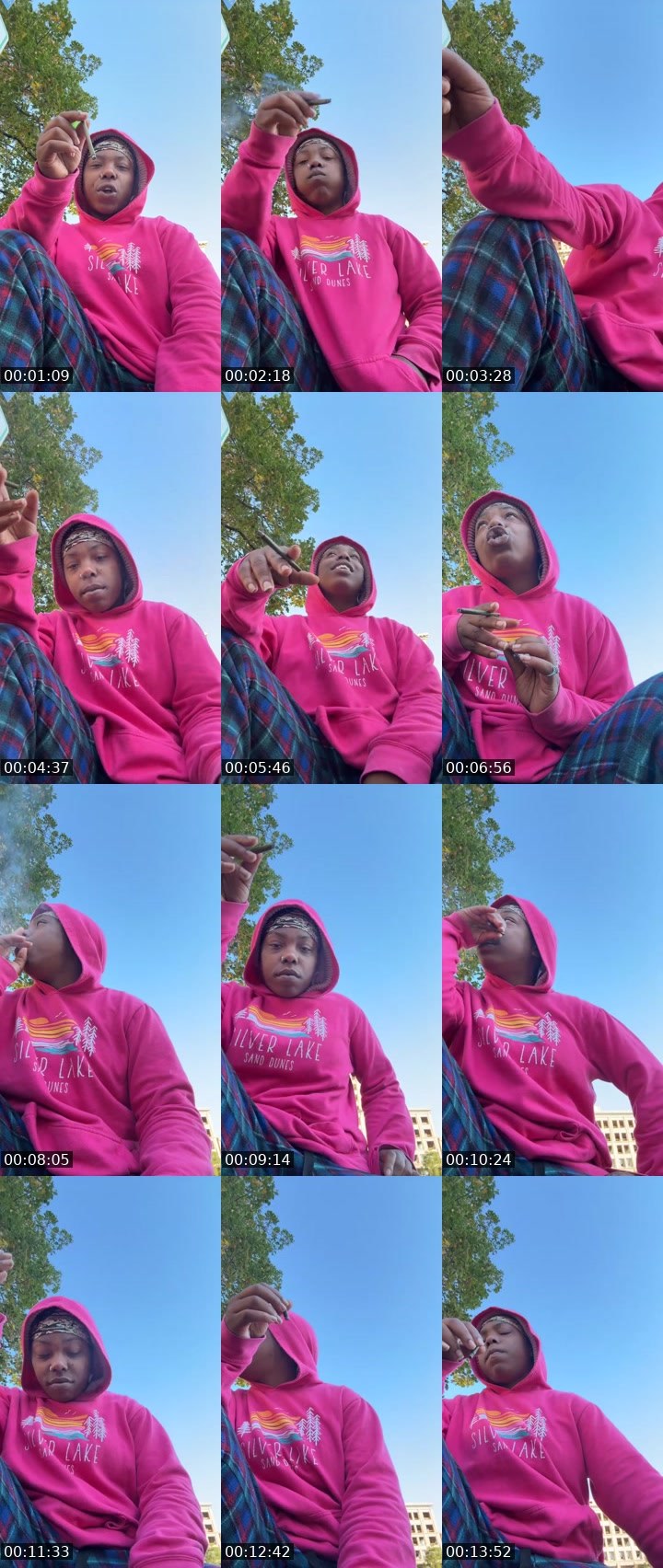 Contact-sheet preview of Laylaybodytea's Liveme recording