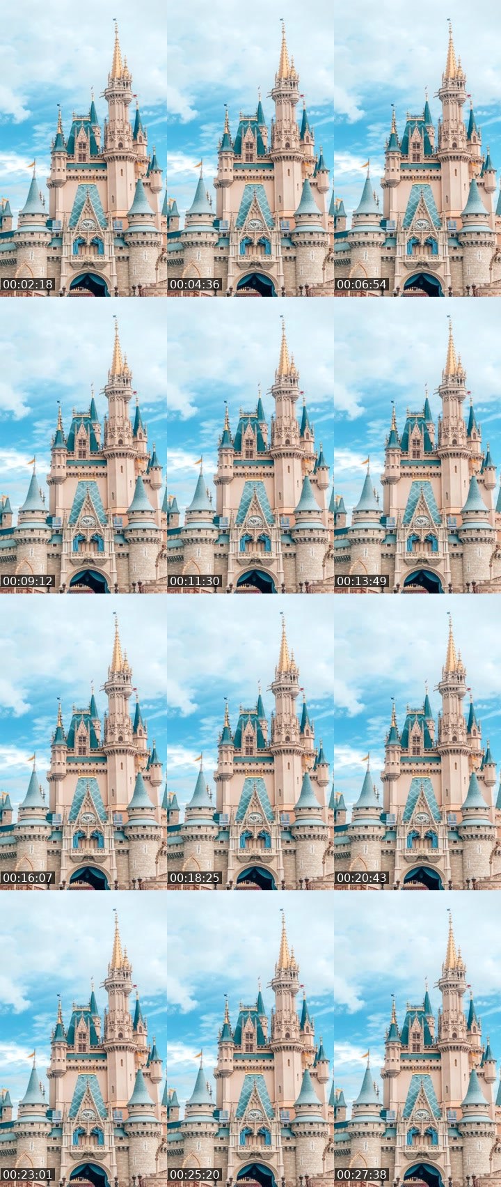 Contact-sheet preview of 🌎ZIAH🌎HFT's Liveme recording