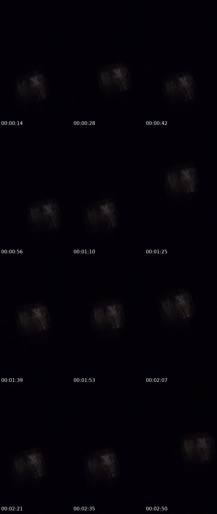 Contact-sheet preview of Light-395504356's Liveme recording