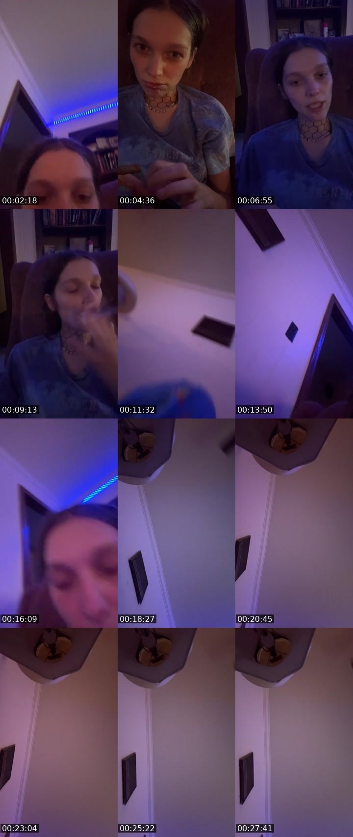 Contact-sheet preview of Willowsmama's Liveme recording