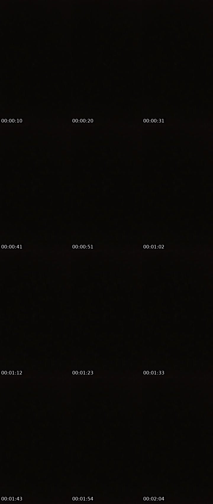 Contact-sheet preview of Lora_col's Liveme recording
