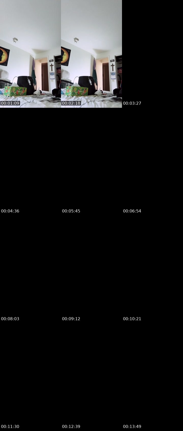 Contact-sheet preview of 🐧ǶąաąììᎠɾҽąʍƓìɾӀ's Liveme recording