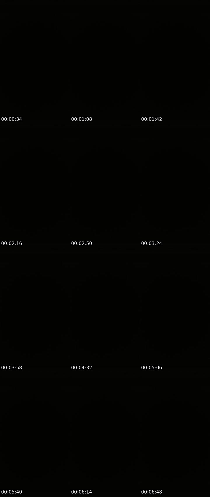 Contact-sheet preview of Lora_col's Liveme recording