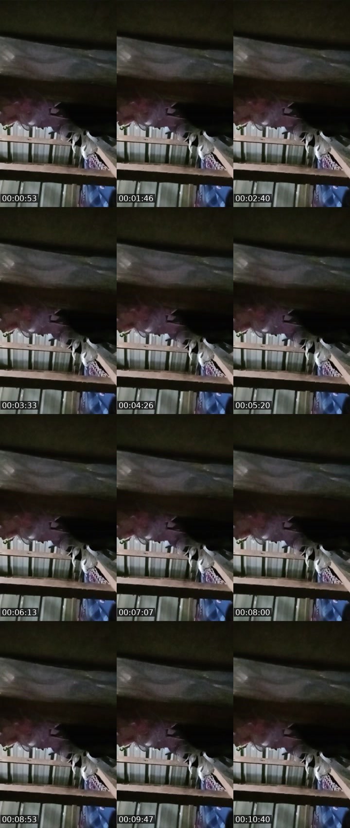 Contact-sheet preview of ☝️❤️XYREL's Liveme recording