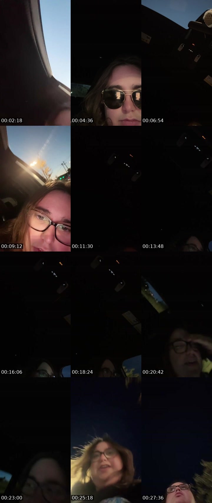 Contact-sheet preview of Reiyn 👑's Liveme recording