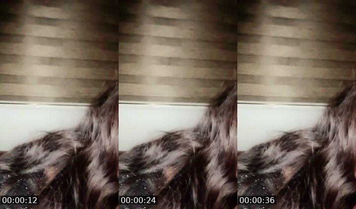 Contact-sheet preview of 🦌‏𝐷𝑎𝓁𝑎's Liveme recording