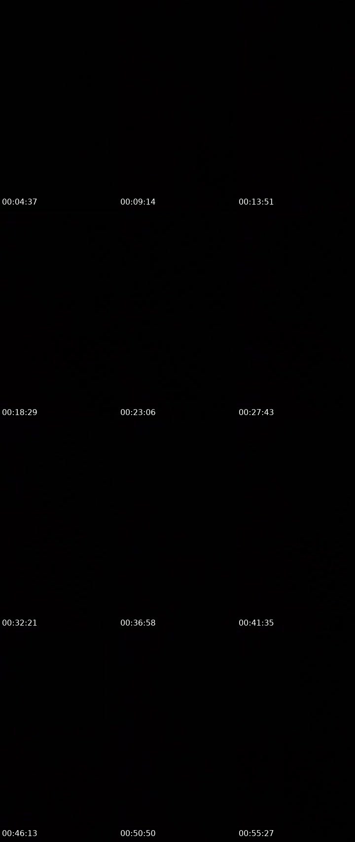 Contact-sheet preview of 𝐊𝐀𝐓𝐘_𝐊𝐀𝐓's Liveme recording