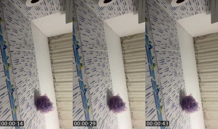Contact-sheet preview of 🌐KAREN👑🫦's Liveme recording