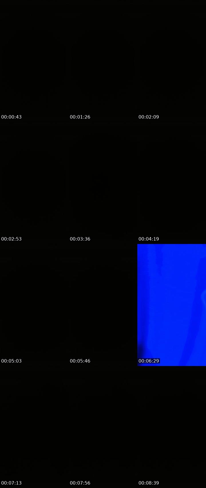 Contact-sheet preview of Lora_col's Liveme recording