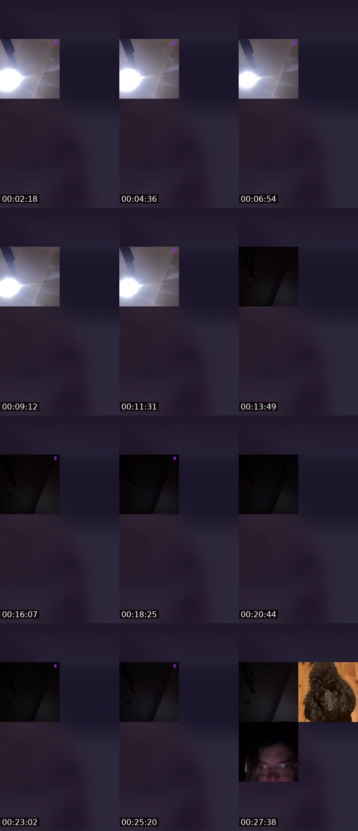 Contact-sheet preview of Flight 401👻's Liveme recording