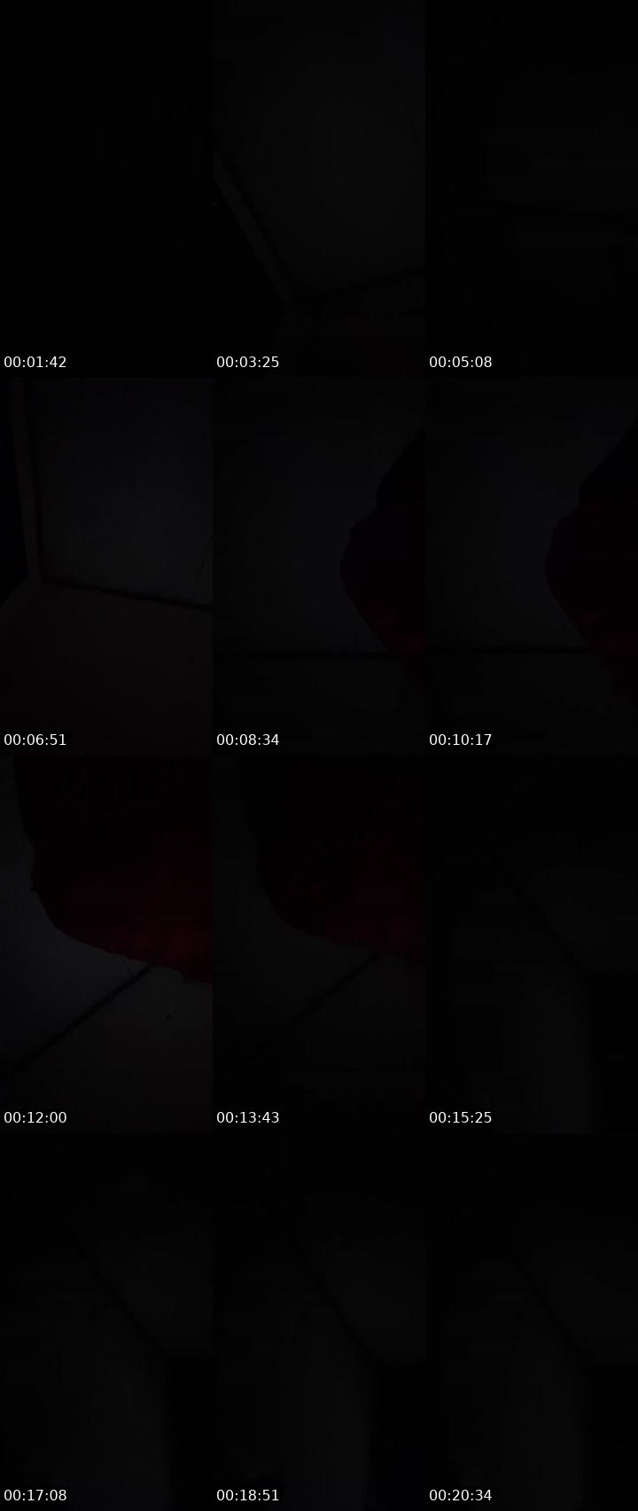 Contact-sheet preview of LM-213124650's Liveme recording