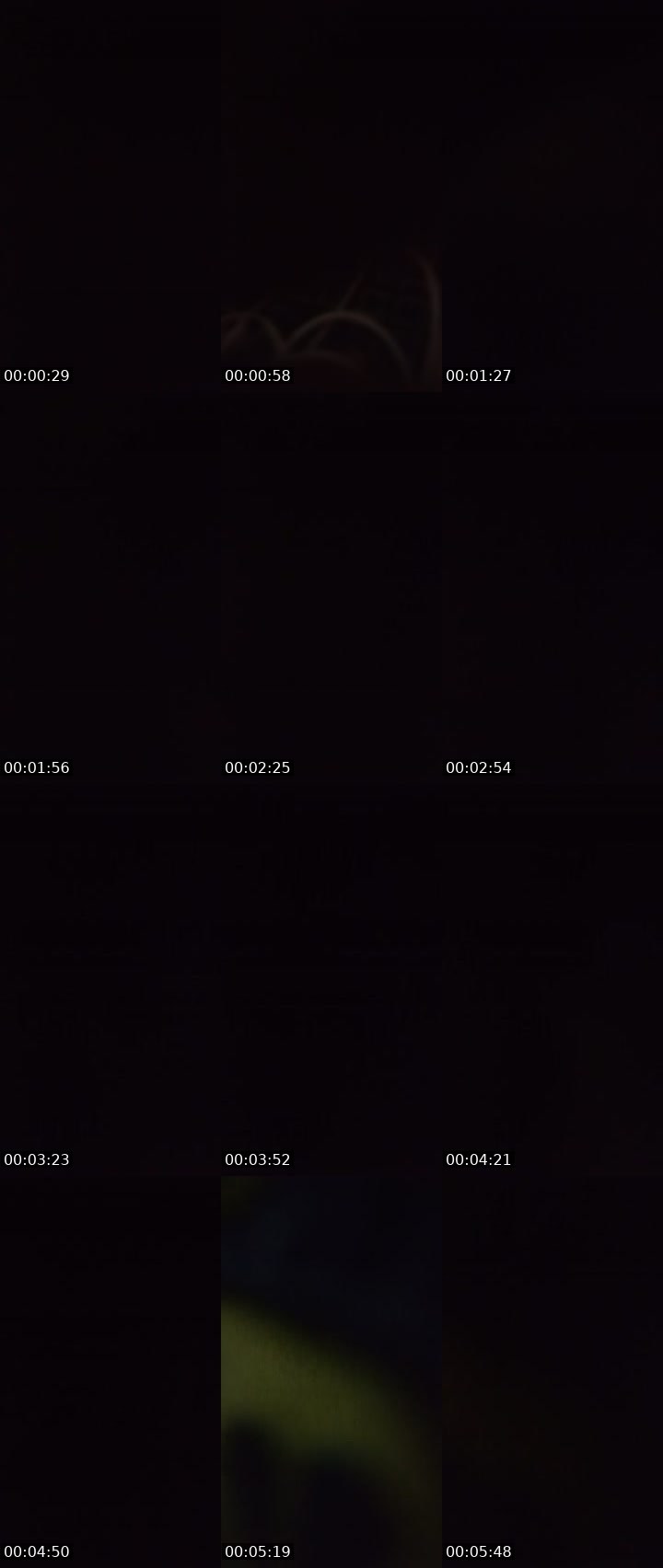 Contact-sheet preview of zoya112's Liveme recording