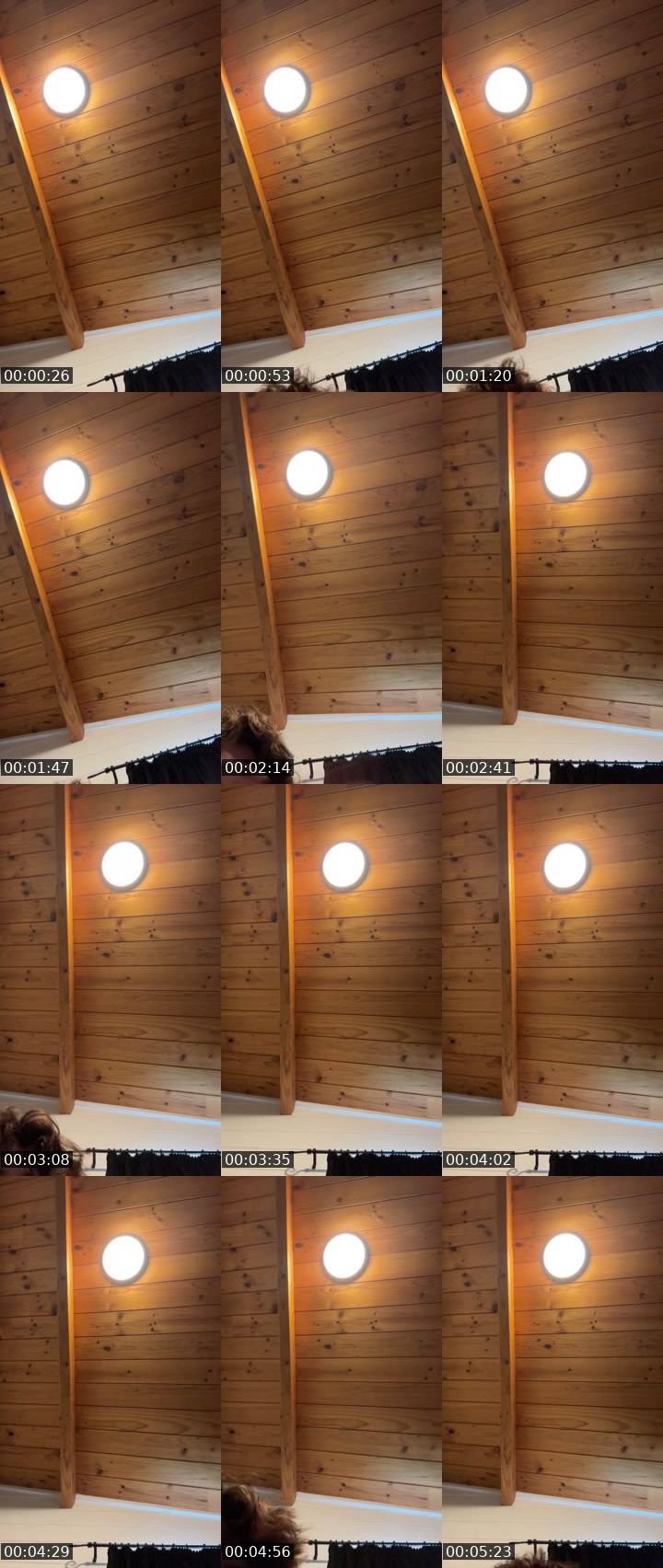 Contact-sheet preview of 🦇Yelena🦇's Liveme recording