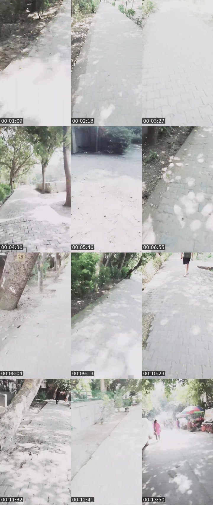 Contact-sheet preview of Moon Thai's Liveme recording