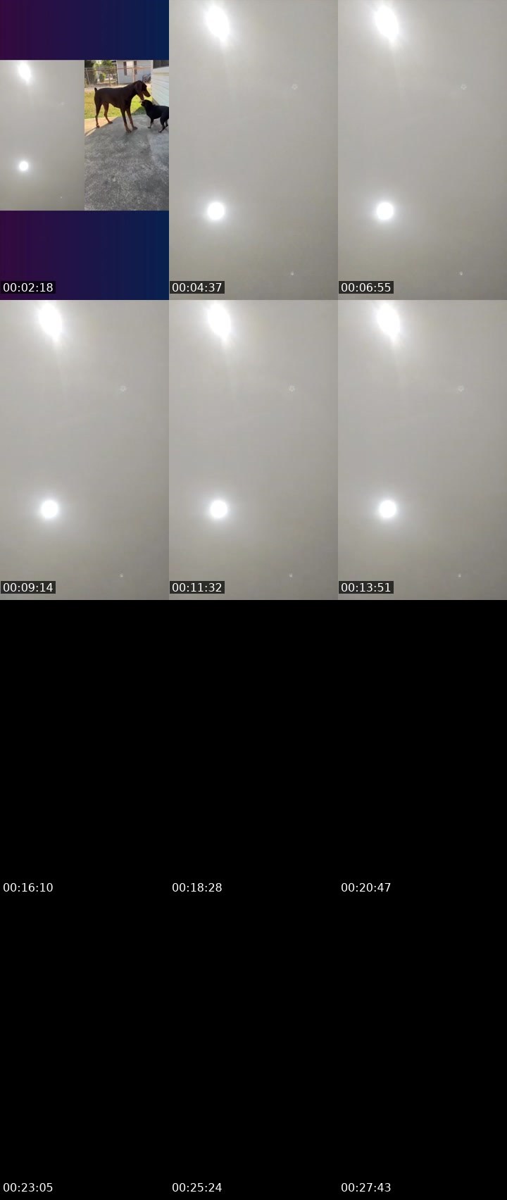 Contact-sheet preview of JARA-YO 🦁's Liveme recording