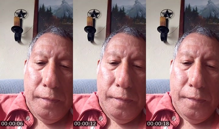Contact-sheet preview of Loyal-387345936's Liveme recording