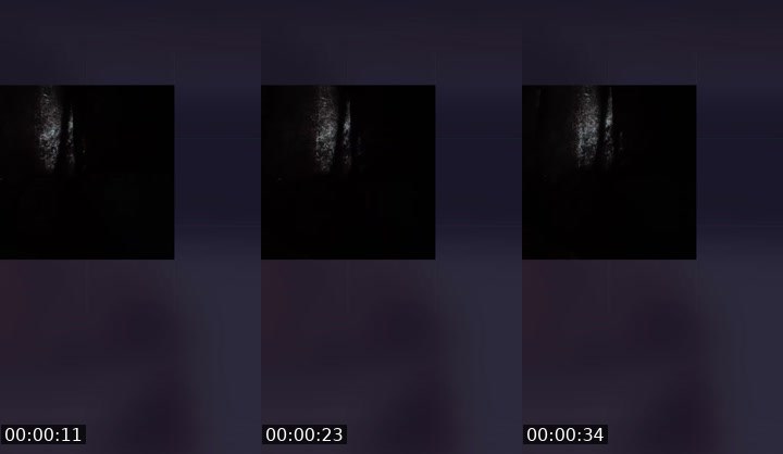 Contact-sheet preview of Yetunde Ilugbusi's Liveme recording