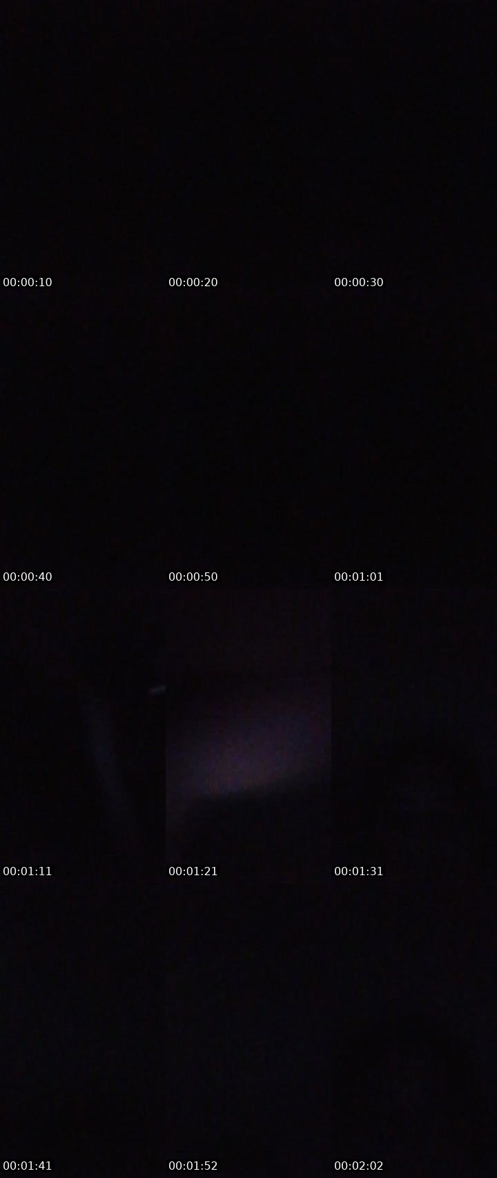 Contact-sheet preview of 🍃👸Ara🌼's Liveme recording