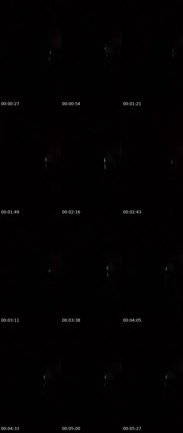 Contact-sheet preview of Aria❣️'s Liveme recording