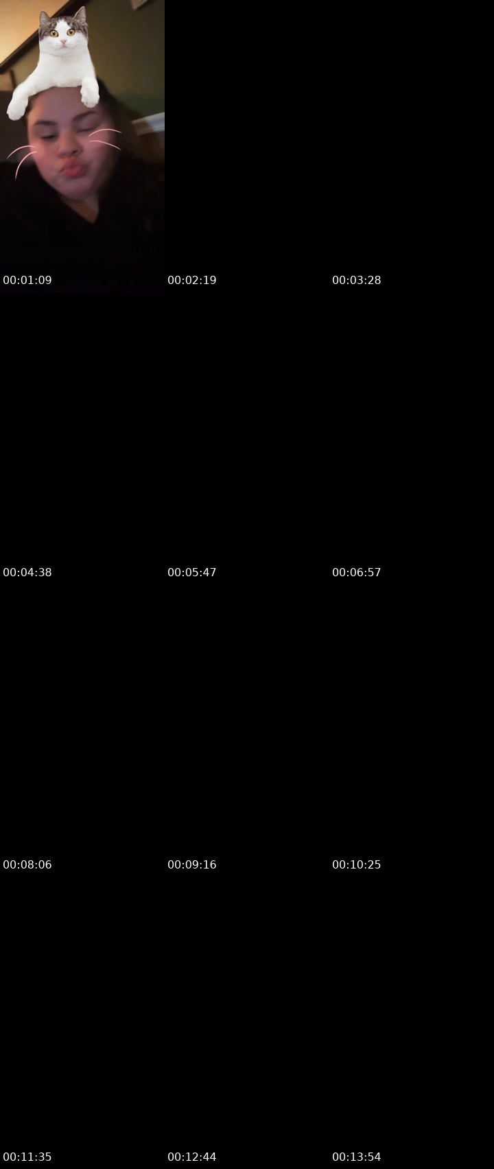 Contact-sheet preview of Princess peach's Liveme recording