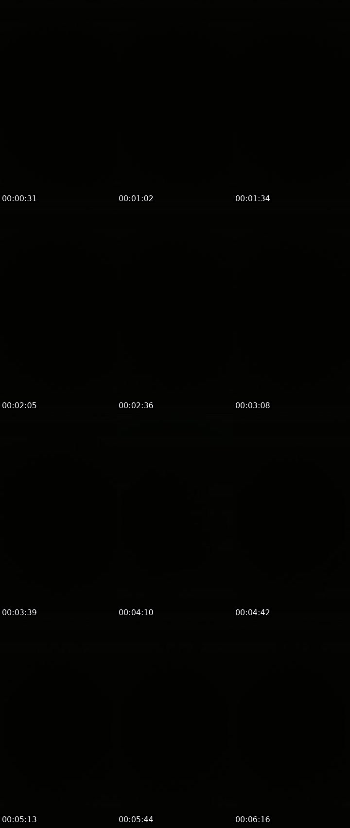 Contact-sheet preview of Lora_col's Liveme recording