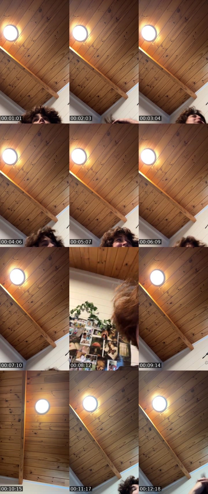 Contact-sheet preview of 🦇Yelena🦇's Liveme recording