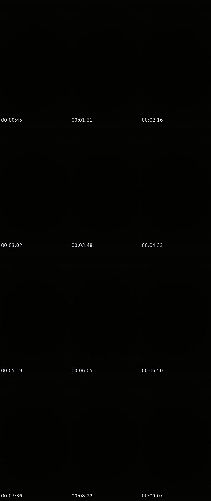 Contact-sheet preview of Lora_col's Liveme recording