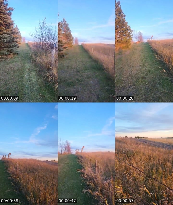 Contact-sheet preview of 🐝Keeper🌼🎁's Liveme recording