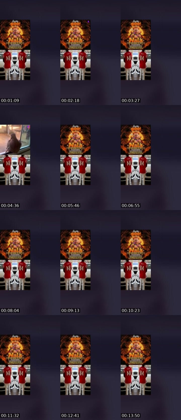 Contact-sheet preview of Nala 🦁❤️‍🔥's Liveme recording