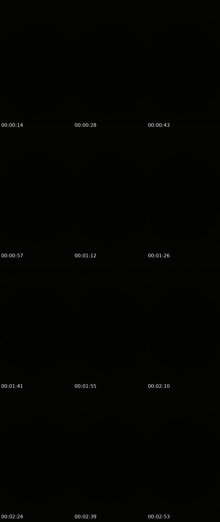 Contact-sheet preview of Lora_col's Liveme recording